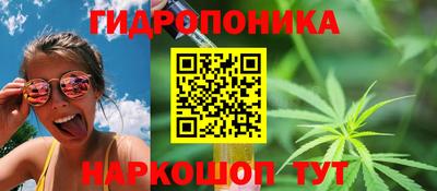 стафф Рыбинск