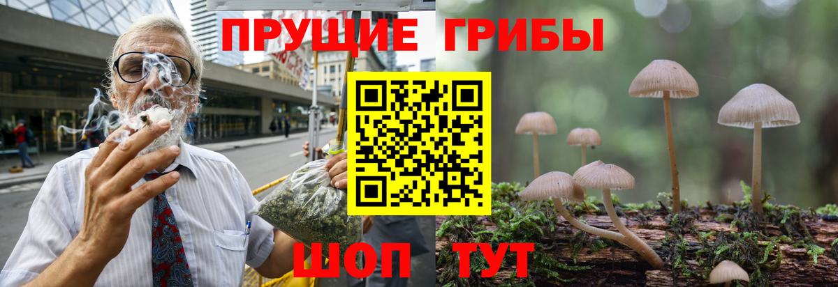Галлюциногенные грибы прущие грибы  Вход с VPN  Соликамск 